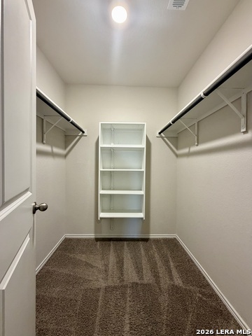 9951 Spotted Rose Property Photo 30