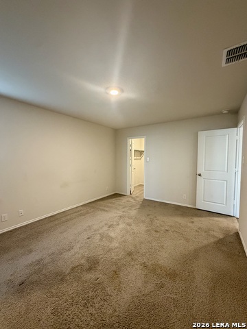 9951 Spotted Rose Property Photo 33