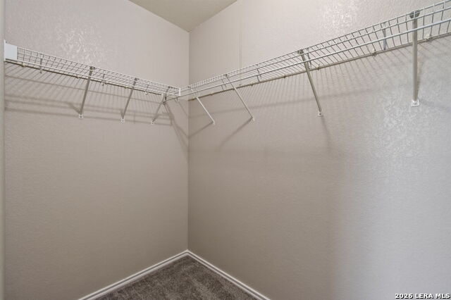 10002 Fisherman Pier Property Photo 19