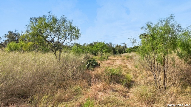 540 Private Road 233 Property Photo 13