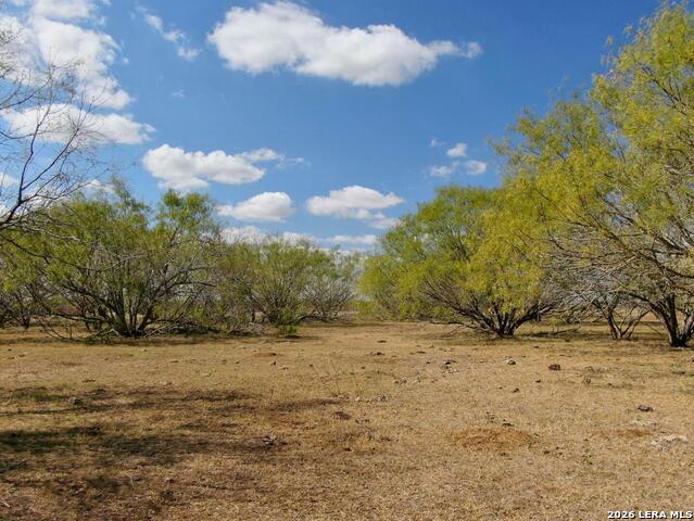 812 County Road 415 Property Photo 8