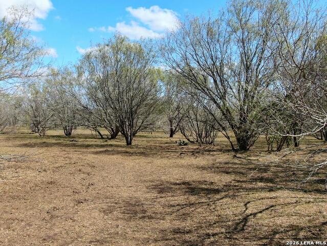 812 County Road 415 Property Photo 10