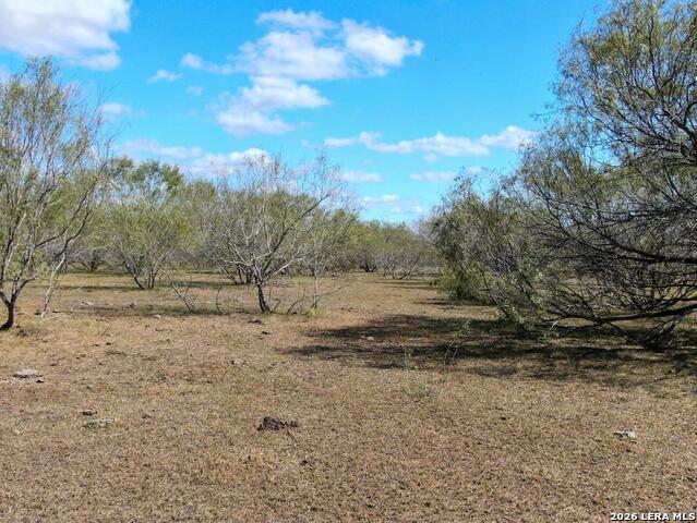812 County Road 415 Property Photo 12