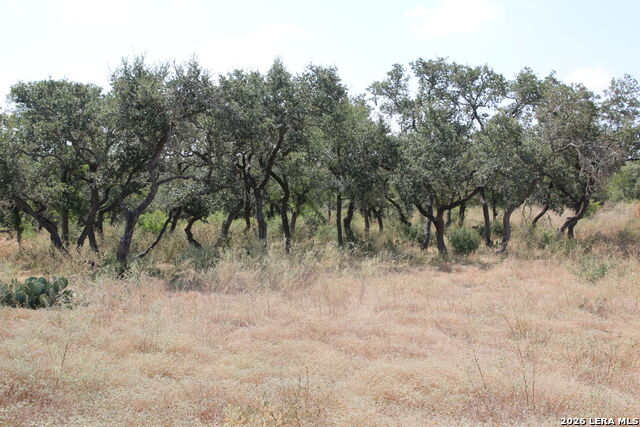 Tbd Stone Loop Property Photo 1