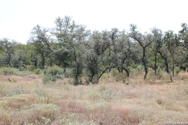 Tbd Stone Loop Property Photo 2