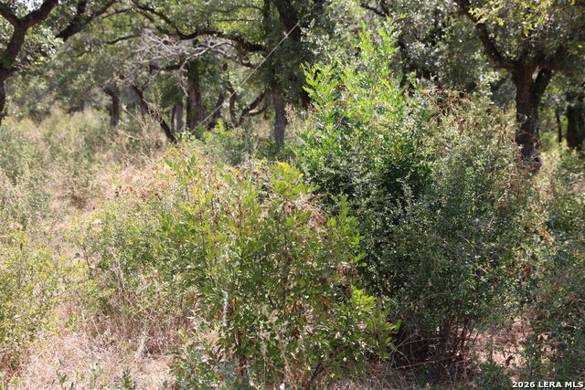Tbd Stone Loop Property Photo 7