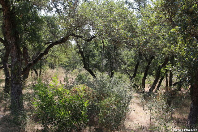 Tbd Stone Loop Property Photo 8
