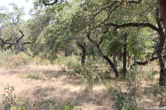Tbd Stone Loop Property Photo 9