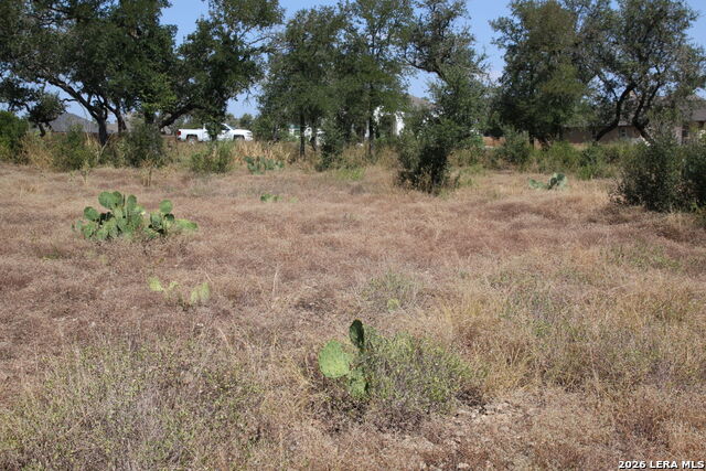 Tbd Stone Loop Property Photo 10