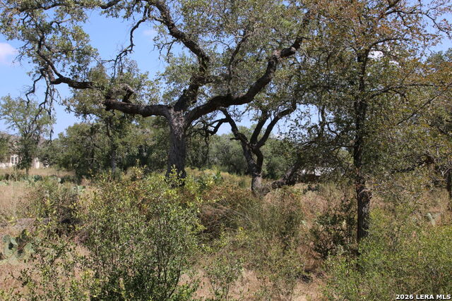 Tbd Stone Loop Property Photo 1