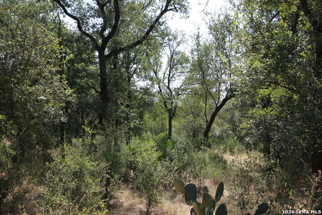 Tbd Stone Loop Property Photo 2