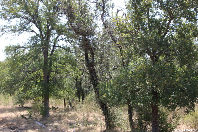 Tbd Stone Loop Property Photo 3