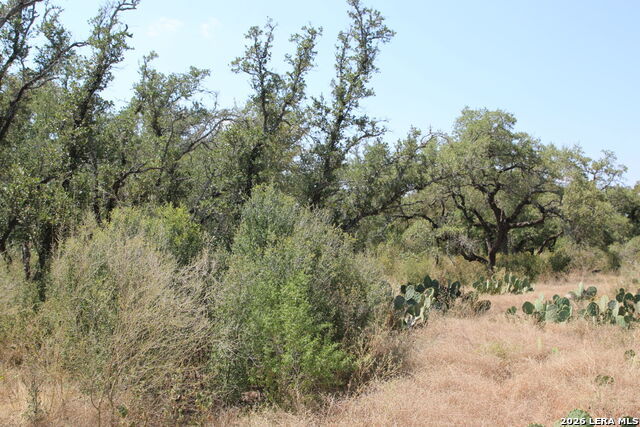 Tbd Stone Loop Property Photo 4