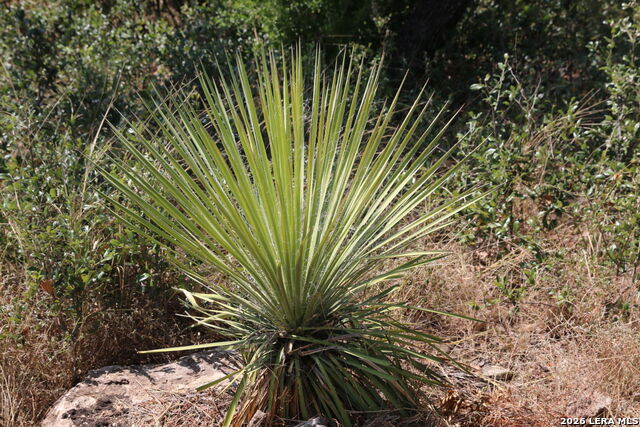 Tbd Stone Loop Property Photo 5