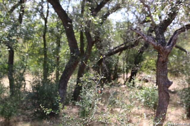 Tbd Stone Loop Property Photo 8