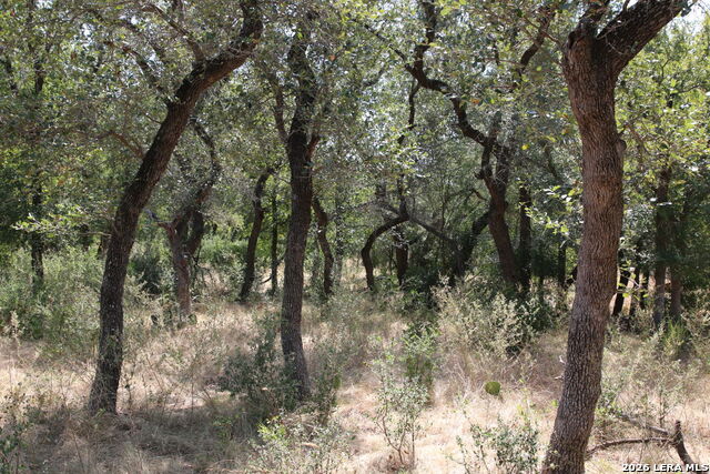 Tbd Stone Loop Property Photo 9