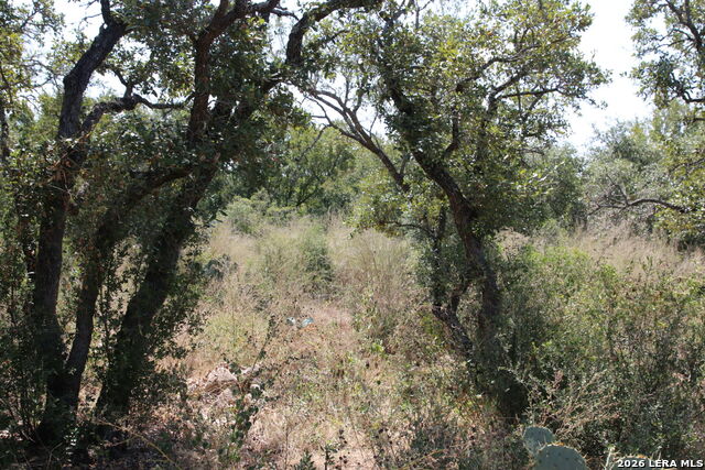 Tbd Stone Loop Property Photo 10
