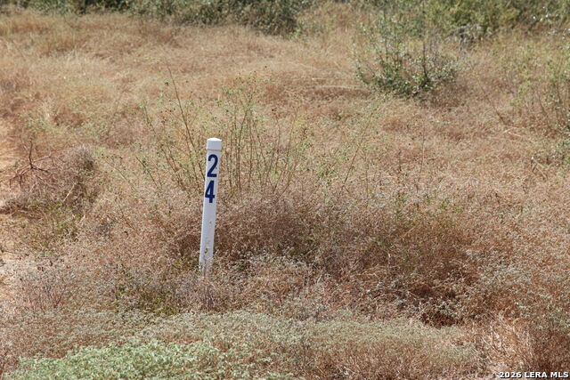 Tbd Stone Loop Property Photo 11