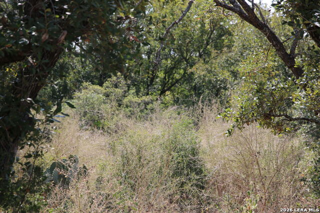 Tbd Stone Loop Property Photo 12