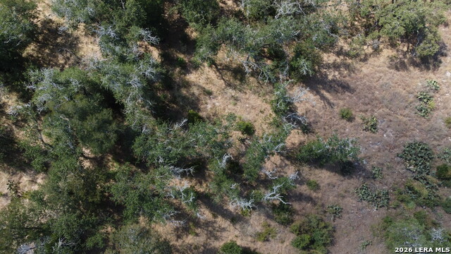 Tbd Stone Loop Property Photo 15