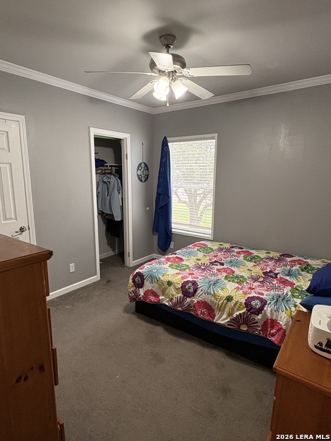 910 Pr 6255 Property Photo 24