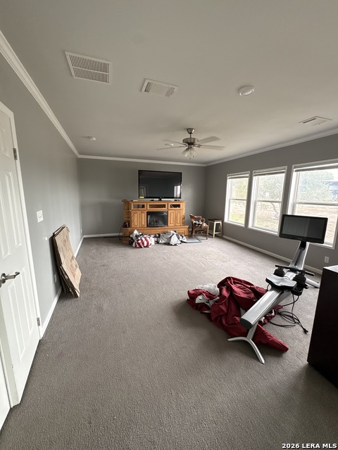 910 Pr 6255 Property Photo 43