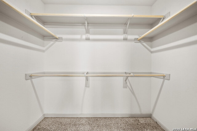 13503 Tulipwood Nook Property Photo 19