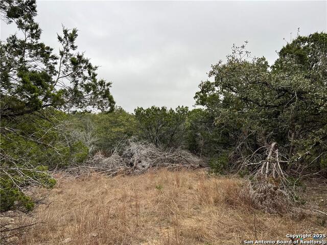713 STAGECOACH TRL Property Photo 1