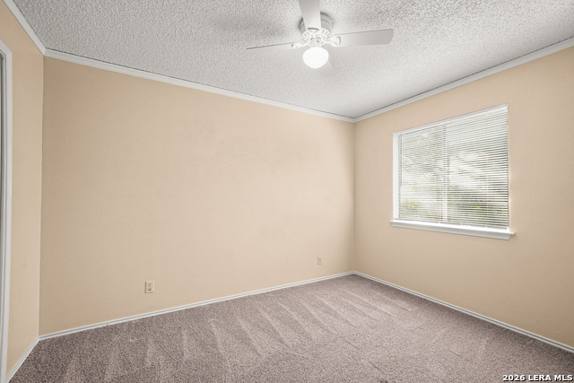 8726 Timber Range Property Photo 19