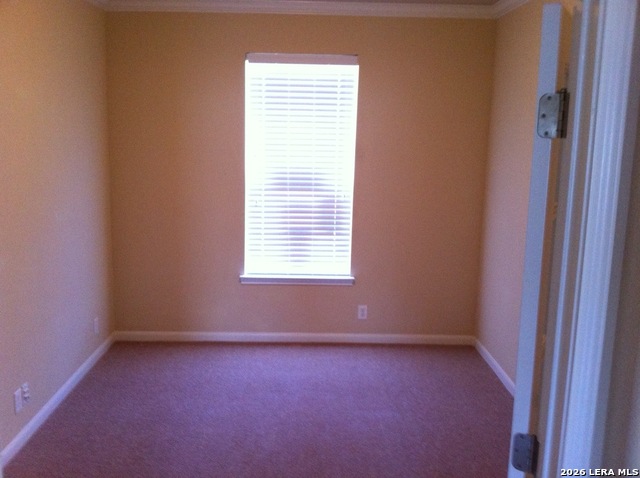 3206 Briscoe Trl Property Photo 16