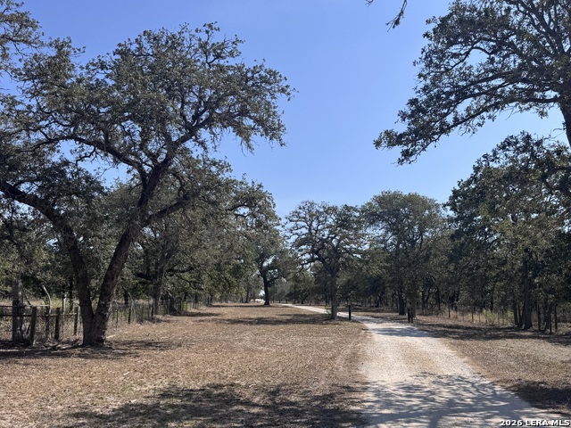 437 Littlehorn Property Photo 11