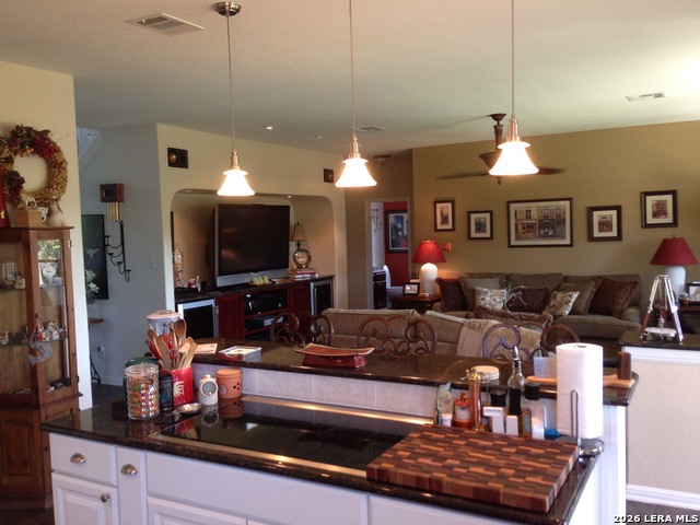 8206 Piney Wood Run Property Photo 7