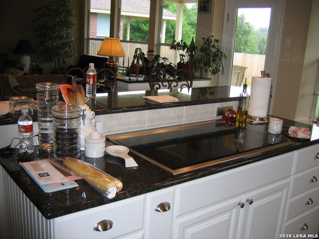 8206 Piney Wood Run Property Photo 10