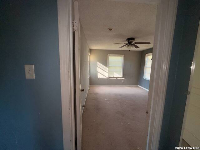 1101 1st Ave N Property Photo 18