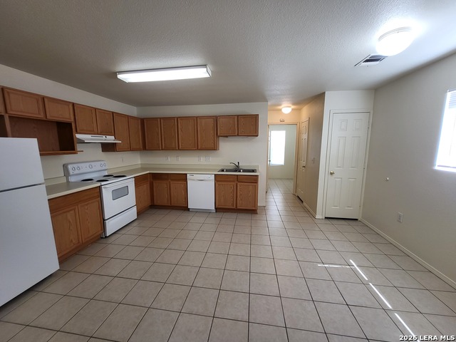 8019 Maverick Climb Property Photo 2