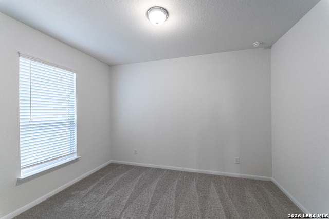 12839 Hush Dr Property Photo 16