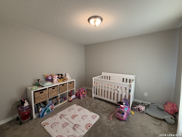 4628 Klein Meadows Property Photo 13