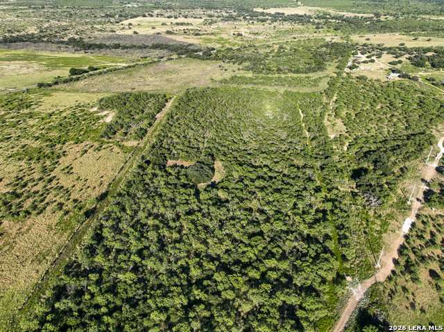 Tbd Sh 29 Property Photo 5