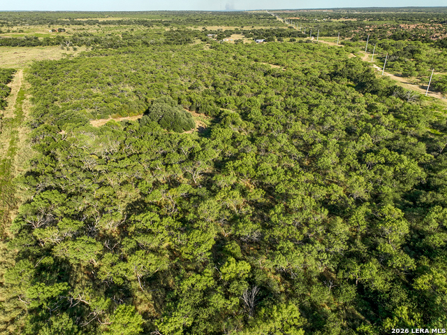 Tbd Sh 29 Property Photo 7