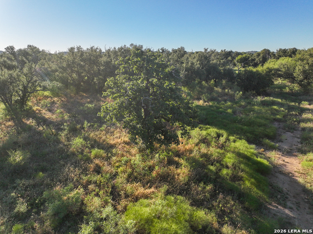 Tbd Sh 29 Property Photo 40
