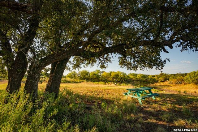 7487 N Us Highway 87 Property Photo 5