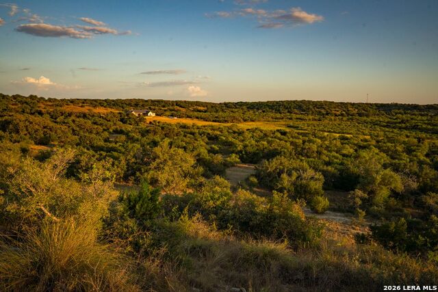 7487 N Us Highway 87 Property Photo 7