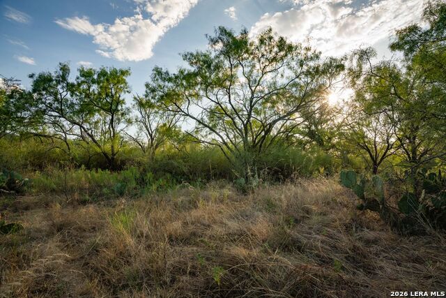 7487 N Us Highway 87 Property Photo 41