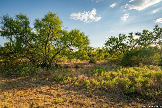 7487 N Us Highway 87 Property Photo 43