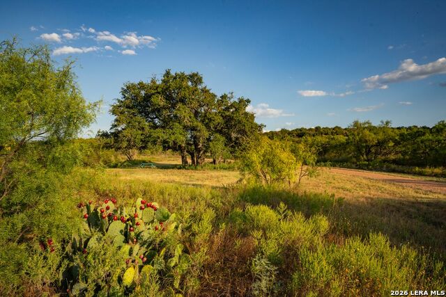 7487 N Us Highway 87 Property Photo 44