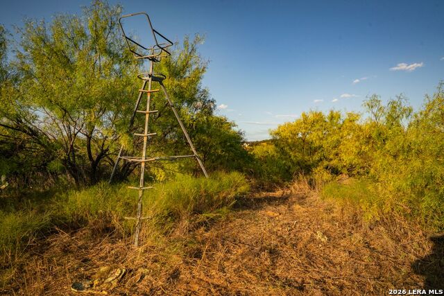 7487 N Us Highway 87 Property Photo 45