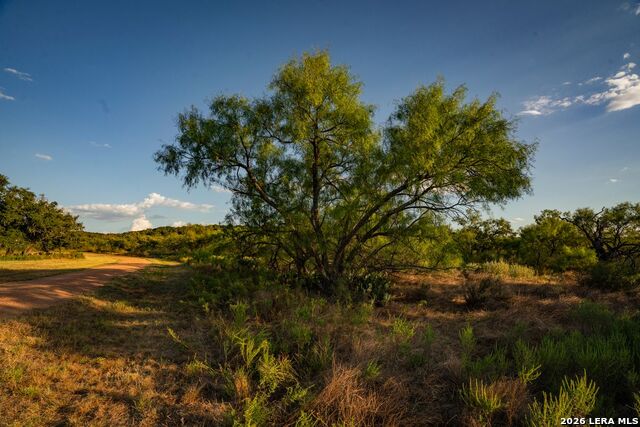 7487 N Us Highway 87 Property Photo 46