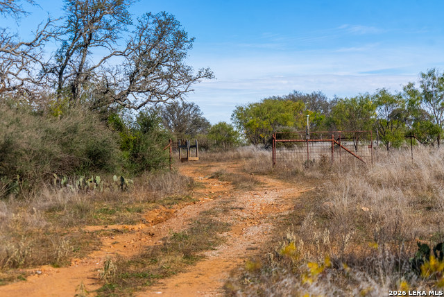 000 Highway 16 Property Photo 30