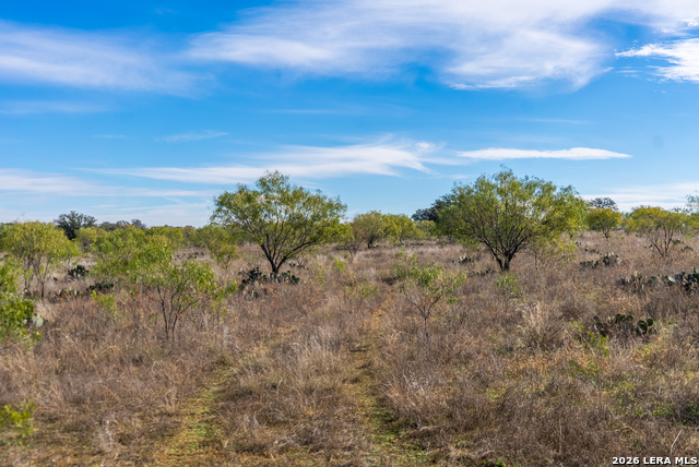 000 Highway 16 Property Photo 35