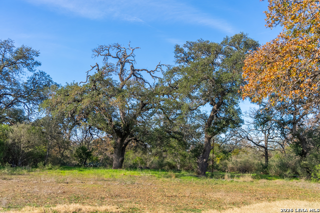 000 Highway 16 Property Photo 37